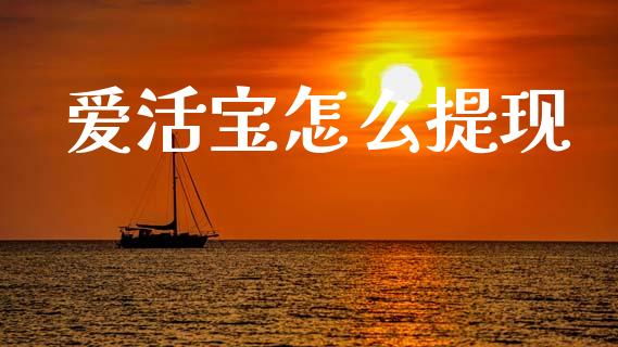 爱活宝怎么提现_https://m.fansifence.com_个股行情_第1张
