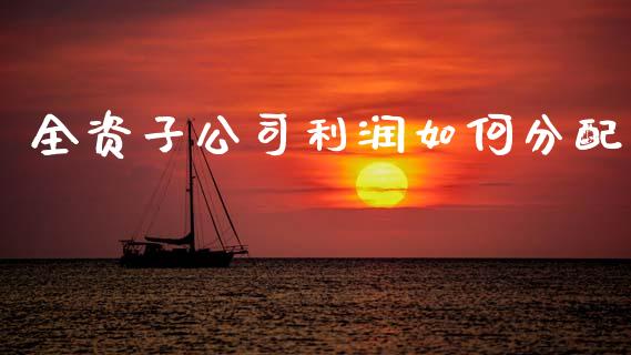 全资子公司利润如何分配_https://m.fansifence.com_消费金融_第1张