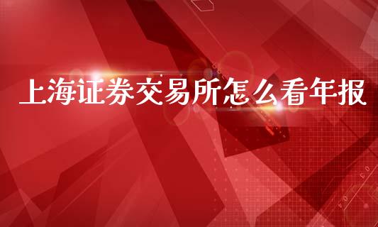 上海证券交易所怎么看年报_https://m.fansifence.com_公募基金_第1张