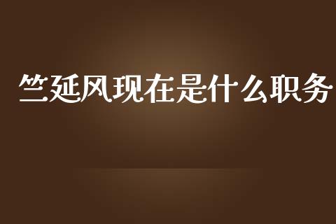 竺延风现在是什么职务_https://m.fansifence.com_公募基金_第1张