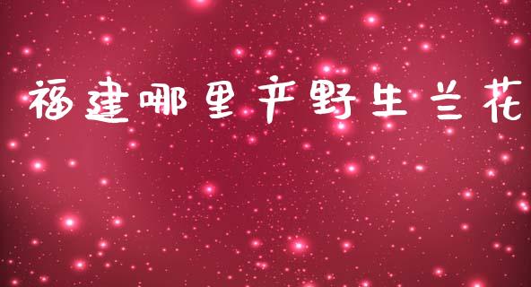 福建哪里产野生兰花_https://m.fansifence.com_消费金融_第1张