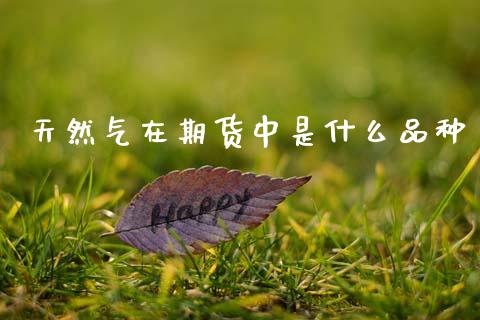 天然气在期货中是什么品种_https://m.fansifence.com_个股行情_第1张