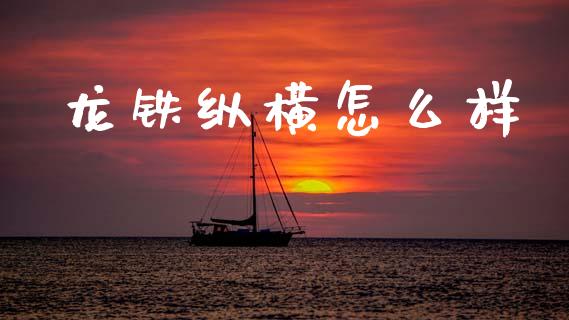 龙铁纵横怎么样_https://m.fansifence.com_贵金属行情_第1张