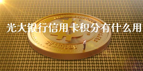 光大银行信用卡积分有什么用_https://m.fansifence.com_公募基金_第1张
