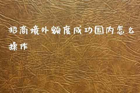 招商境外额度成功国内怎么操作_https://m.fansifence.com_贵金属行情_第1张