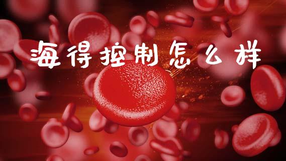 海得控制怎么样_https://m.fansifence.com_公募基金_第1张
