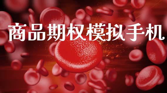 商品期权模拟手机_https://m.fansifence.com_贵金属行情_第1张