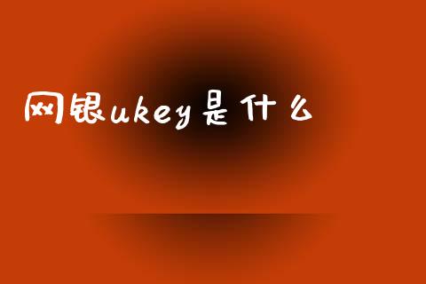 网银ukey是什么_https://m.fansifence.com_消费金融_第1张