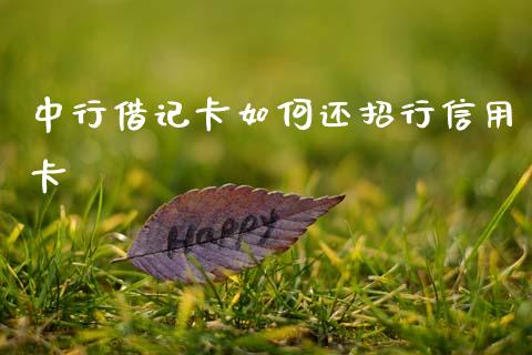 中行借记卡如何还招行信用卡_https://m.fansifence.com_贵金属行情_第1张