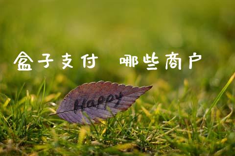 盒子支付  哪些商户_https://m.fansifence.com_个股行情_第1张
