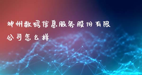 神州数码信息服务股份有限公司怎么样_https://m.fansifence.com_消费金融_第1张