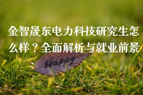 金智晟东电力科技研究生怎么样？全面解析与就业前景_https://m.fansifence.com_贵金属行情_第1张