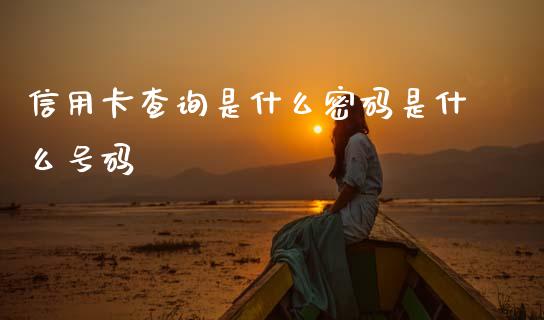 信用卡查询是什么密码是什么号码_https://m.fansifence.com_公募基金_第1张