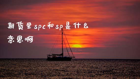 期货里spc和sp是什么意思啊_https://m.fansifence.com_公募基金_第1张