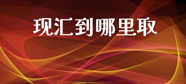 现汇到哪里取_https://m.fansifence.com_贵金属行情_第1张