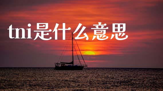 tni是什么意思_https://m.fansifence.com_消费金融_第1张