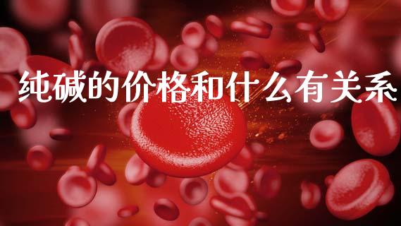 纯碱的价格和什么有关系_https://m.fansifence.com_公募基金_第1张