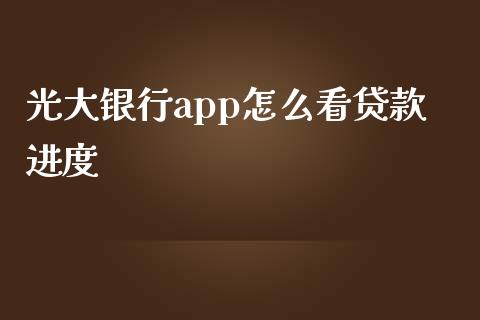 光大银行app怎么看贷款进度_https://m.fansifence.com_公募基金_第1张