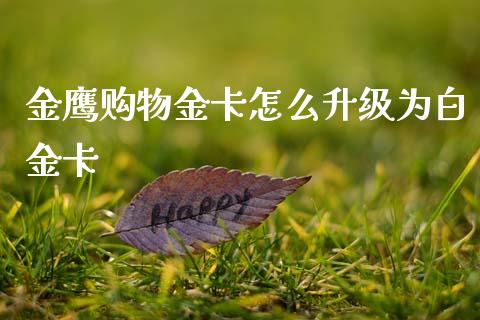 金鹰购物金卡怎么升级为白金卡_https://m.fansifence.com_消费金融_第1张