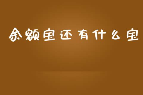 余额宝还有什么宝_https://m.fansifence.com_公募基金_第1张
