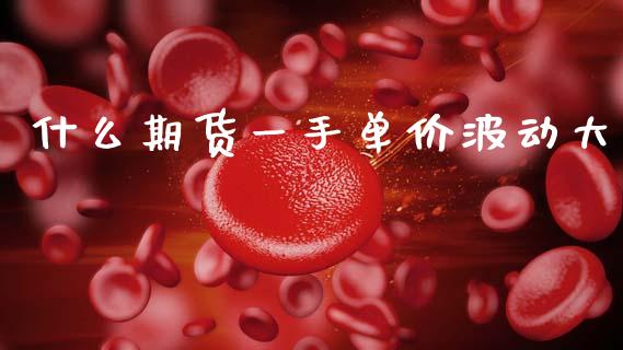 什么期货一手单价波动大_https://m.fansifence.com_个股行情_第1张