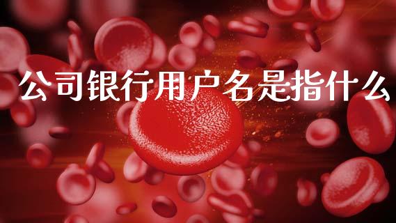 公司银行用户名是指什么_https://m.fansifence.com_消费金融_第1张