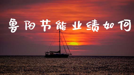 鲁阳节能业绩如何_https://m.fansifence.com_消费金融_第1张