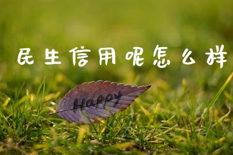 民生信用呢怎么样_https://m.fansifence.com_公募基金_第1张
