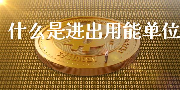 什么是进出用能单位_https://m.fansifence.com_个股行情_第1张