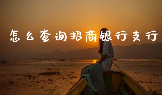 怎么查询招商银行支行_https://m.fansifence.com_个股行情_第1张