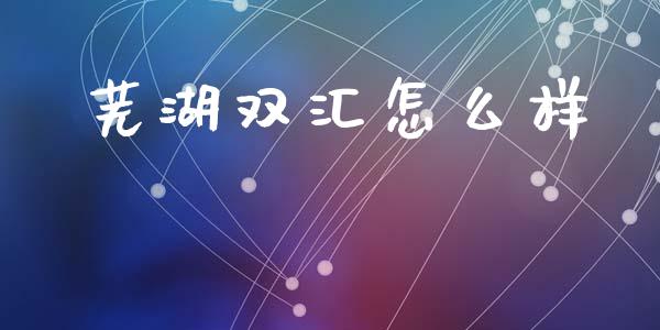 芜湖双汇怎么样_https://m.fansifence.com_贵金属行情_第1张