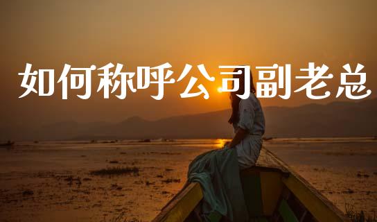 如何称呼公司副老总_https://m.fansifence.com_贵金属行情_第1张