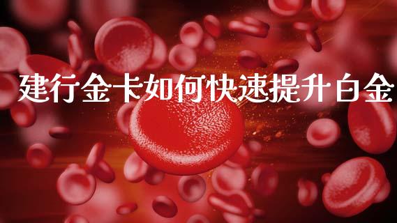 建行金卡如何快速提升白金_https://m.fansifence.com_消费金融_第1张