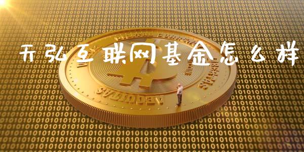天弘互联网基金怎么样_https://m.fansifence.com_公募基金_第1张