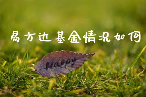 易方达基金情况如何_https://m.fansifence.com_消费金融_第1张