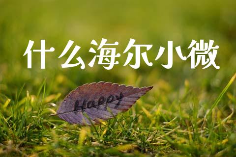 什么海尔小微_https://m.fansifence.com_个股行情_第1张