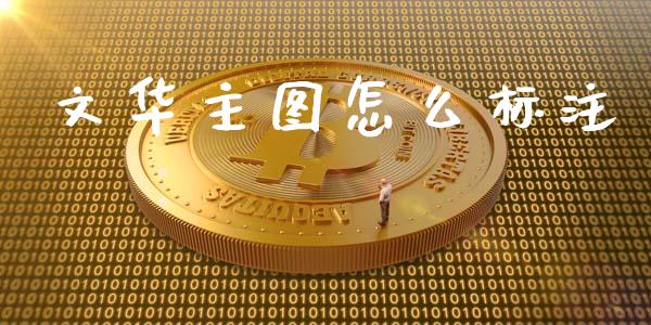 文华主图怎么标注_https://m.fansifence.com_个股行情_第1张
