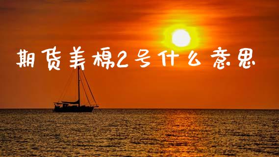 期货美棉2号什么意思_https://m.fansifence.com_贵金属行情_第1张