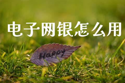 电子网银怎么用_https://m.fansifence.com_公募基金_第1张