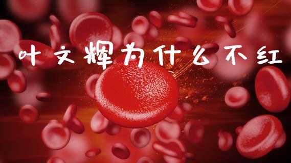 叶文辉为什么不红_https://m.fansifence.com_消费金融_第1张