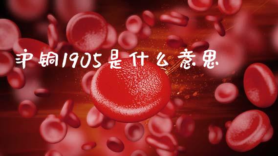 沪铜1905是什么意思_https://m.fansifence.com_贵金属行情_第1张