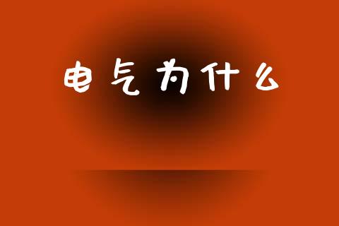 电气为什么_https://m.fansifence.com_消费金融_第1张