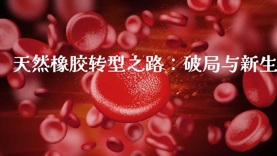天然橡胶转型之路：破局与新生_https://m.fansifence.com_公募基金_第1张