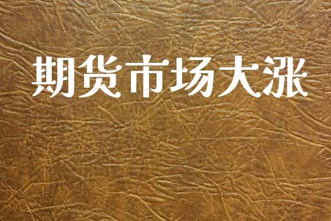期货市场大涨_https://m.fansifence.com_贵金属行情_第1张