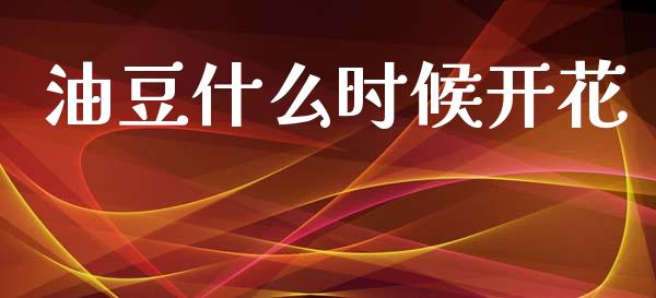 油豆什么时候开花_https://m.fansifence.com_贵金属行情_第1张