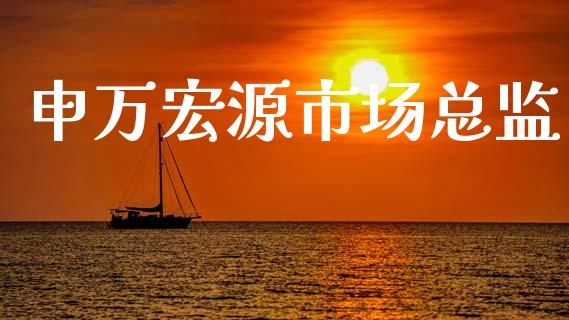 申万宏源市场总监_https://m.fansifence.com_公募基金_第1张