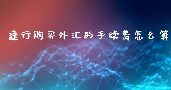 建行购买外汇的手续费怎么算_https://m.fansifence.com_贵金属行情_第1张
