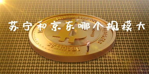 苏宁和京东哪个规模大_https://m.fansifence.com_个股行情_第1张