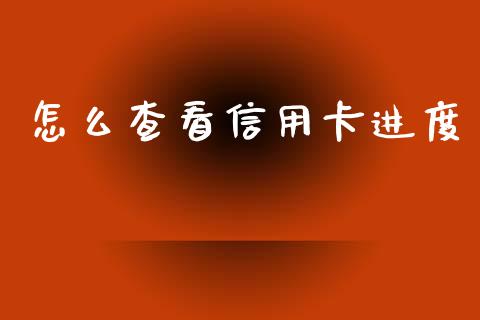 怎么查看信用卡进度_https://m.fansifence.com_消费金融_第1张