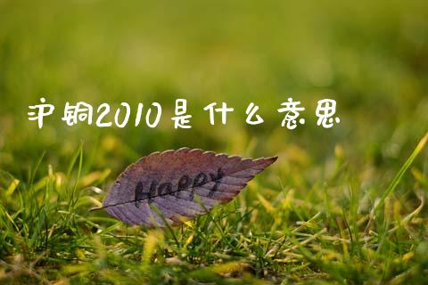 沪铜2010是什么意思_https://m.fansifence.com_公募基金_第1张
